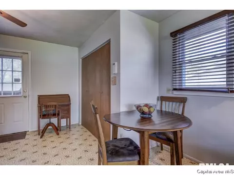 915 Johnson Ln, Springfield, IL 62702 photo 14