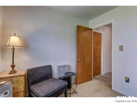 915 Johnson Ln, Springfield, IL 62702 photo 21