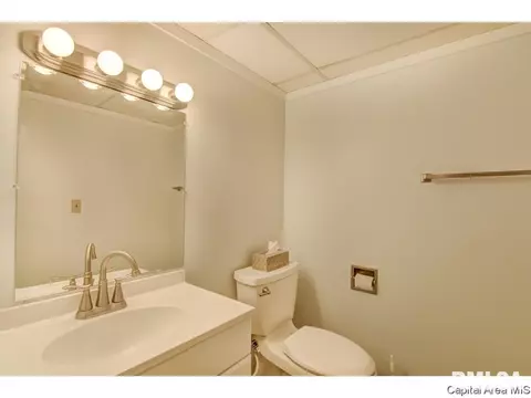 56 Maple Grv, Springfield, IL 62712 photo 25