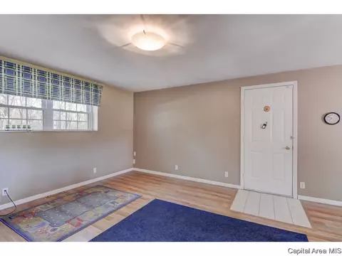 56 Maple Grv, Springfield, IL 62712 photo 13