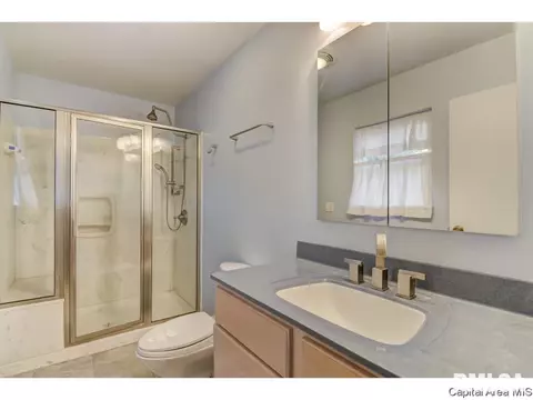 56 Maple Grv, Springfield, IL 62712 photo 18