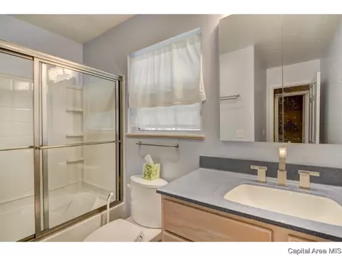 56 Maple Grv, Springfield, IL 62712 photo 11