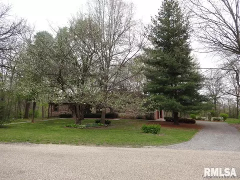 11064 Robin Ln, Athens, IL 62613 photo 29