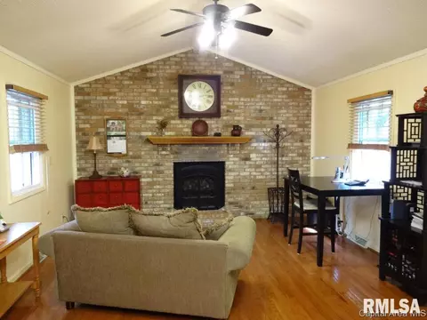 11064 Robin Ln, Athens, IL 62613 photo 11
