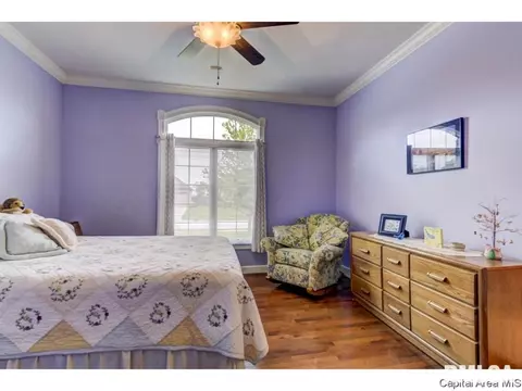 2108 Harbor Lndg, Springfield, IL 62712 photo 21