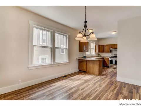 1325 Converse, Springfield, IL 62702 photo 12