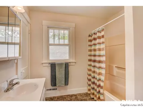 1325 Converse, Springfield, IL 62702 photo 29