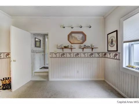 116 S Fox Mill Ln, Springfield, IL 62712 photo 33