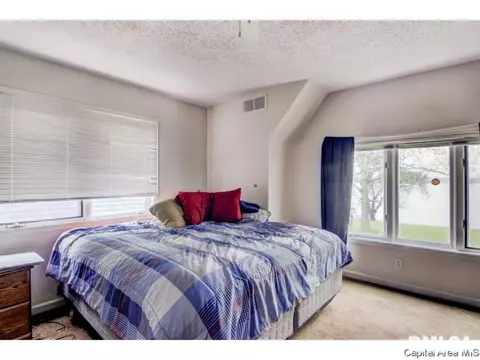 116 S Fox Mill Ln, Springfield, IL 62712 photo 14