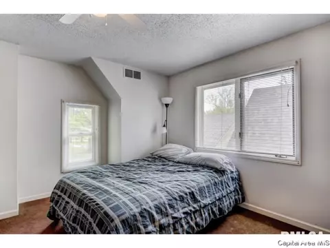 116 S Fox Mill Ln, Springfield, IL 62712 photo 11