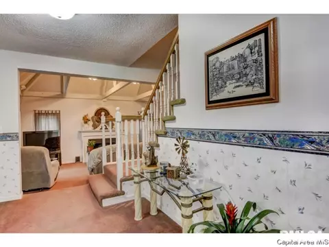 116 S Fox Mill Ln, Springfield, IL 62712 photo 19