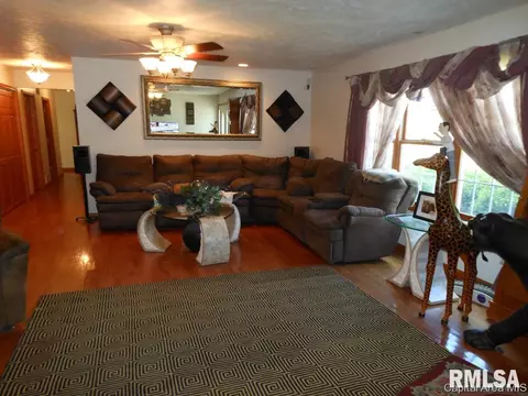 114 E Wilcox, Springfield, IL 62707 photo 4