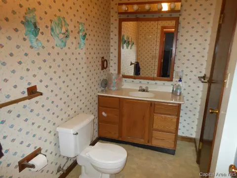 114 E Wilcox, Springfield, IL 62707 photo 14