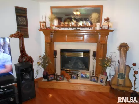 114 E Wilcox, Springfield, IL 62707 photo 5