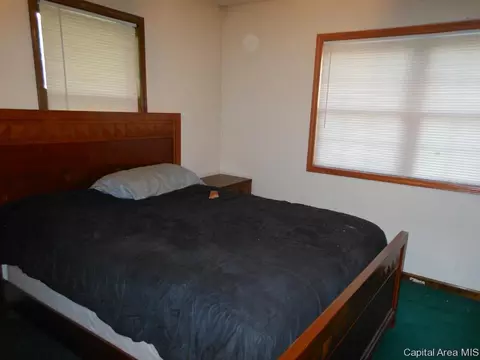 114 E Wilcox, Springfield, IL 62707 photo 11