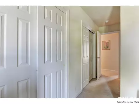 3708 Carney Blvd, Springfield, IL 62712 photo 29