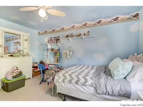 3708 Carney Blvd, Springfield, IL 62712 photo 20