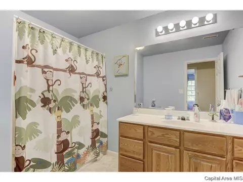 3708 Carney Blvd, Springfield, IL 62712 photo 30