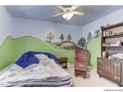 3708 Carney Blvd, Springfield, IL 62712 photo 23
