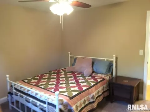 8083 W Outer Rd, Sherman, IL 62684 photo 24