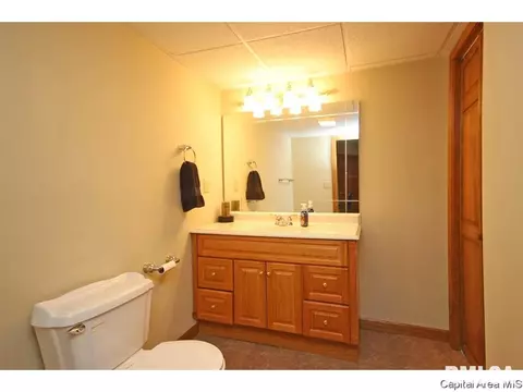 3809 Buckeye Dr, Springfield, IL 62712 photo 28