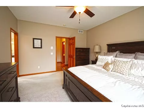 3809 Buckeye Dr, Springfield, IL 62712 photo 24