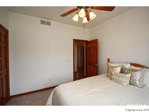 3809 Buckeye Dr, Springfield, IL 62712 photo 19