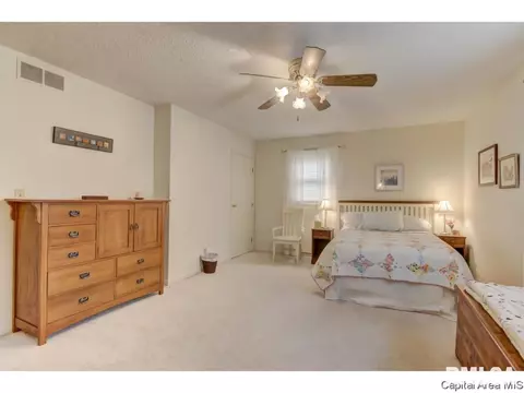 501 Brandywine Rd, Springfield, IL 62704 photo 34
