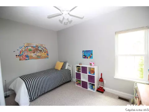 9 Hickory Ridge Ln, Springfield, IL 62707 photo 26