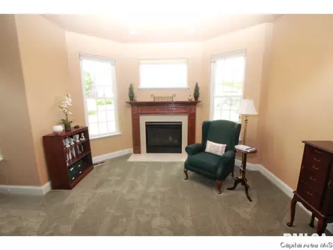 9 Hickory Ridge Ln, Springfield, IL 62707 photo 18