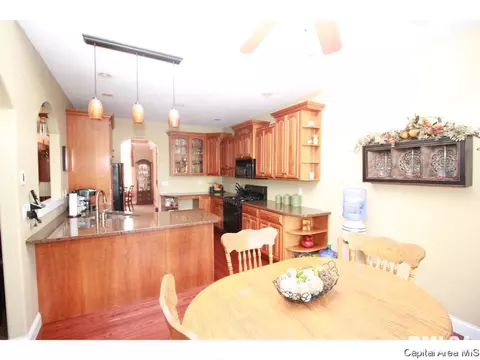 9 Hickory Ridge Ln, Springfield, IL 62707 photo 12