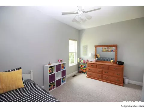 9 Hickory Ridge Ln, Springfield, IL 62707 photo 27
