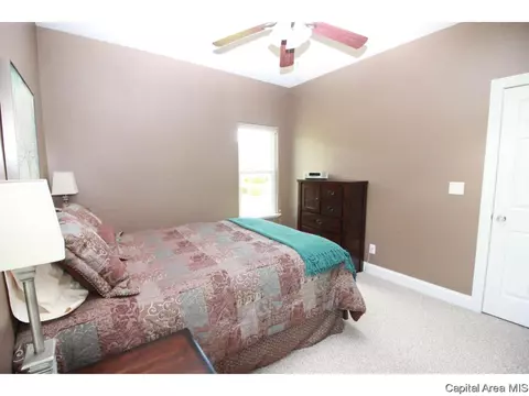 9 Hickory Ridge Ln, Springfield, IL 62707 photo 24