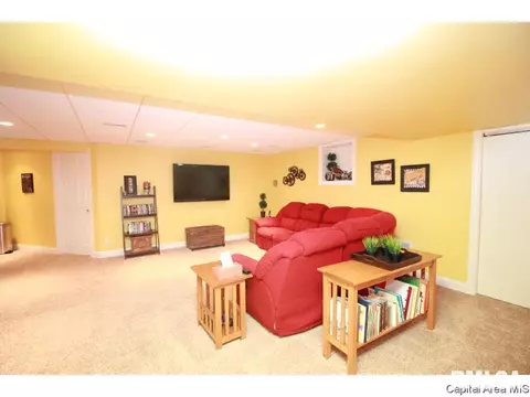 9 Hickory Ridge Ln, Springfield, IL 62707 photo 30