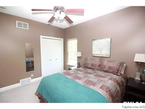 9 Hickory Ridge Ln, Springfield, IL 62707 photo 23