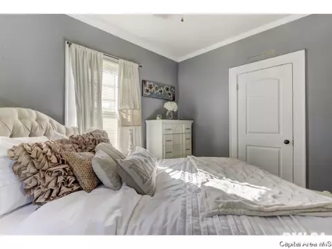 1312 Pasfield, Springfield, IL 62704 photo 23