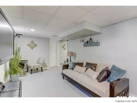1312 Pasfield, Springfield, IL 62704 photo 30