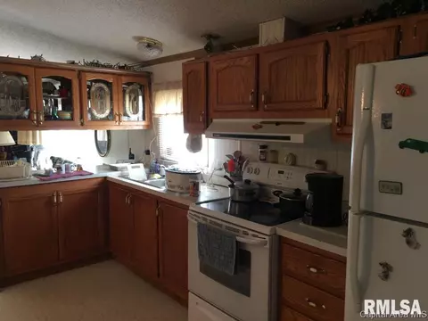 223 N Vine St, Bath, IL 62617 photo 3