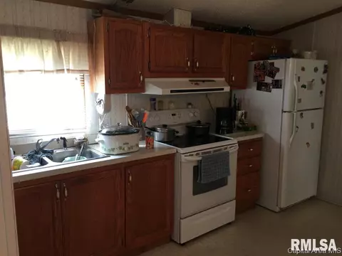 223 N Vine St, Bath, IL 62617 photo 2