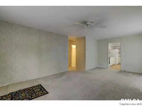2536 Holmes Ave, Springfield, IL 62704 photo 32