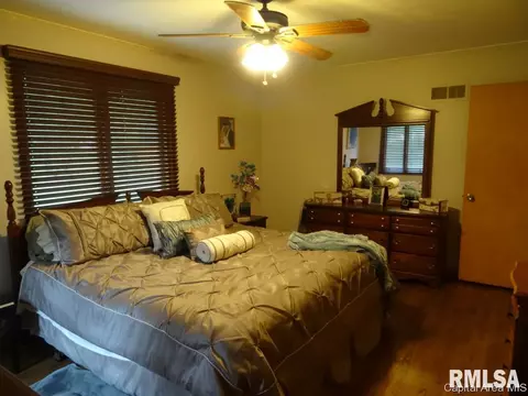 1530 State Route 100, Bluffs, IL 62621 photo 9