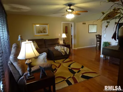 1530 State Route 100, Bluffs, IL 62621 photo 5