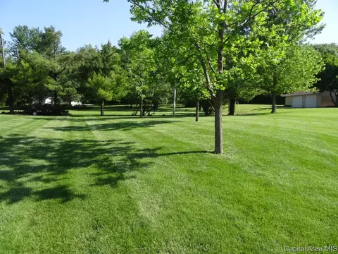 1530 State Route 100, Bluffs, IL 62621 photo 22