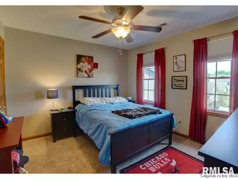 1813 Armitage Dr, Springfield, IL 62711 photo 22