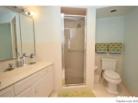 2105 Wiggins, Springfield, IL 62704 photo 27