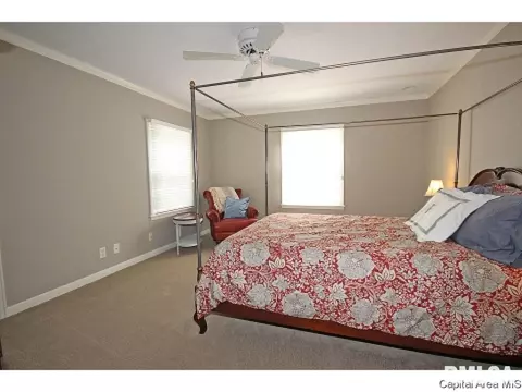 2105 Wiggins, Springfield, IL 62704 photo 23