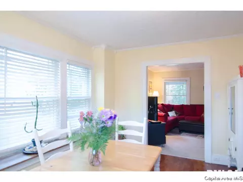 450 W Cook St, Springfield, IL 62704 photo 11