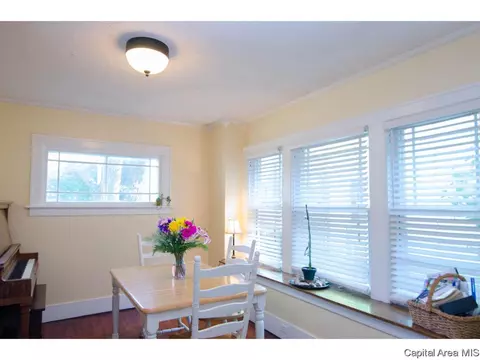 450 W Cook St, Springfield, IL 62704 photo 12