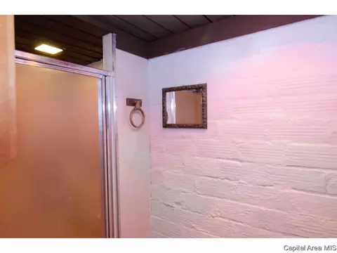 450 W Cook St, Springfield, IL 62704 photo 23