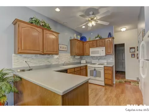 2713 Cronin Dr, Springfield, IL 62711 photo 14